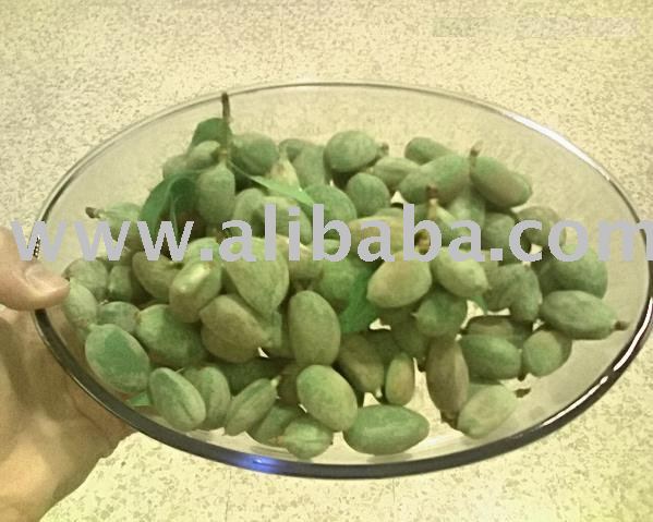  GREEN   NUT 