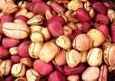 KOLANUT