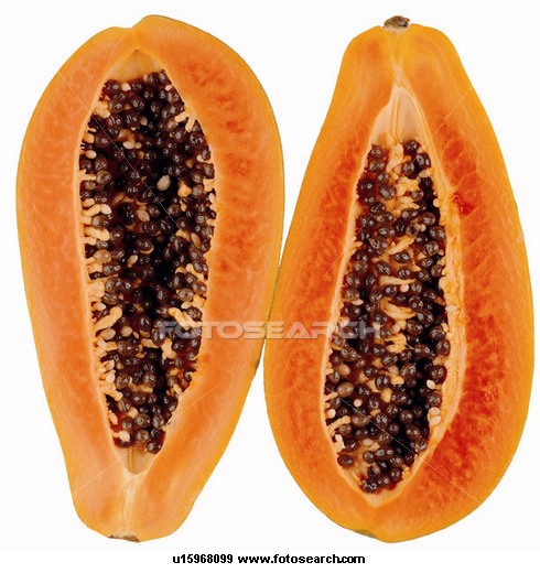 PAPAYA