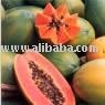 Papaya