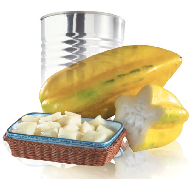 MOUNTAIN PAPAYA IN SYRUP