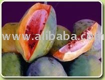 Papaya