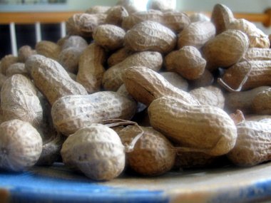 Quality peanut in shell for sale