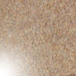whole brown lentil