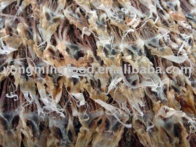 dry squid tip