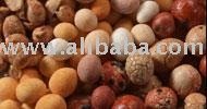  Coated   nuts 