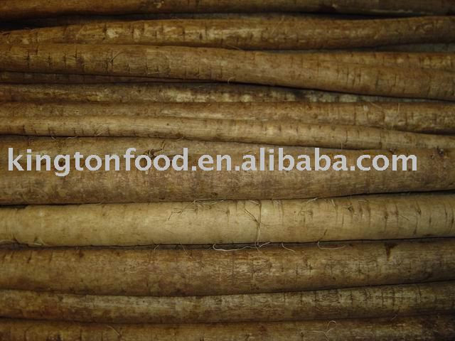 Fresh Burdock