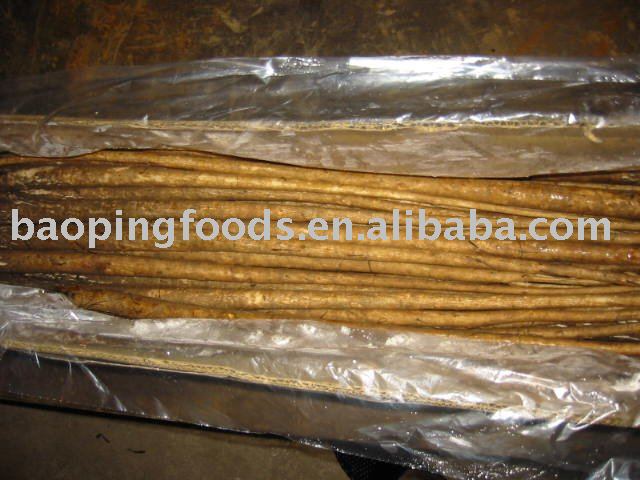 Fresh Chinese Burdock