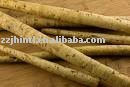 Burdock