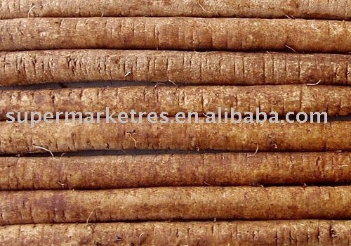 Chinese Fresh Burdock