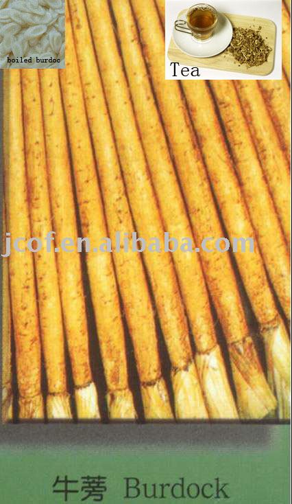 fresh burdock, burdock tea and burdock pickles  693