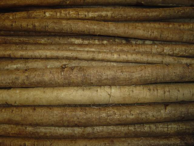 burdock