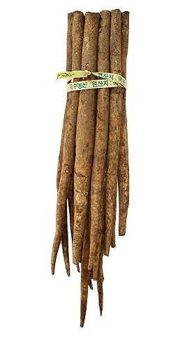 FRESH BURDOCK (GOBO)