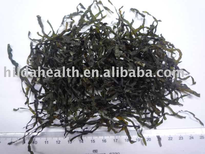 Dried Cut Kelpchina Jingyi Price Supplier 21food