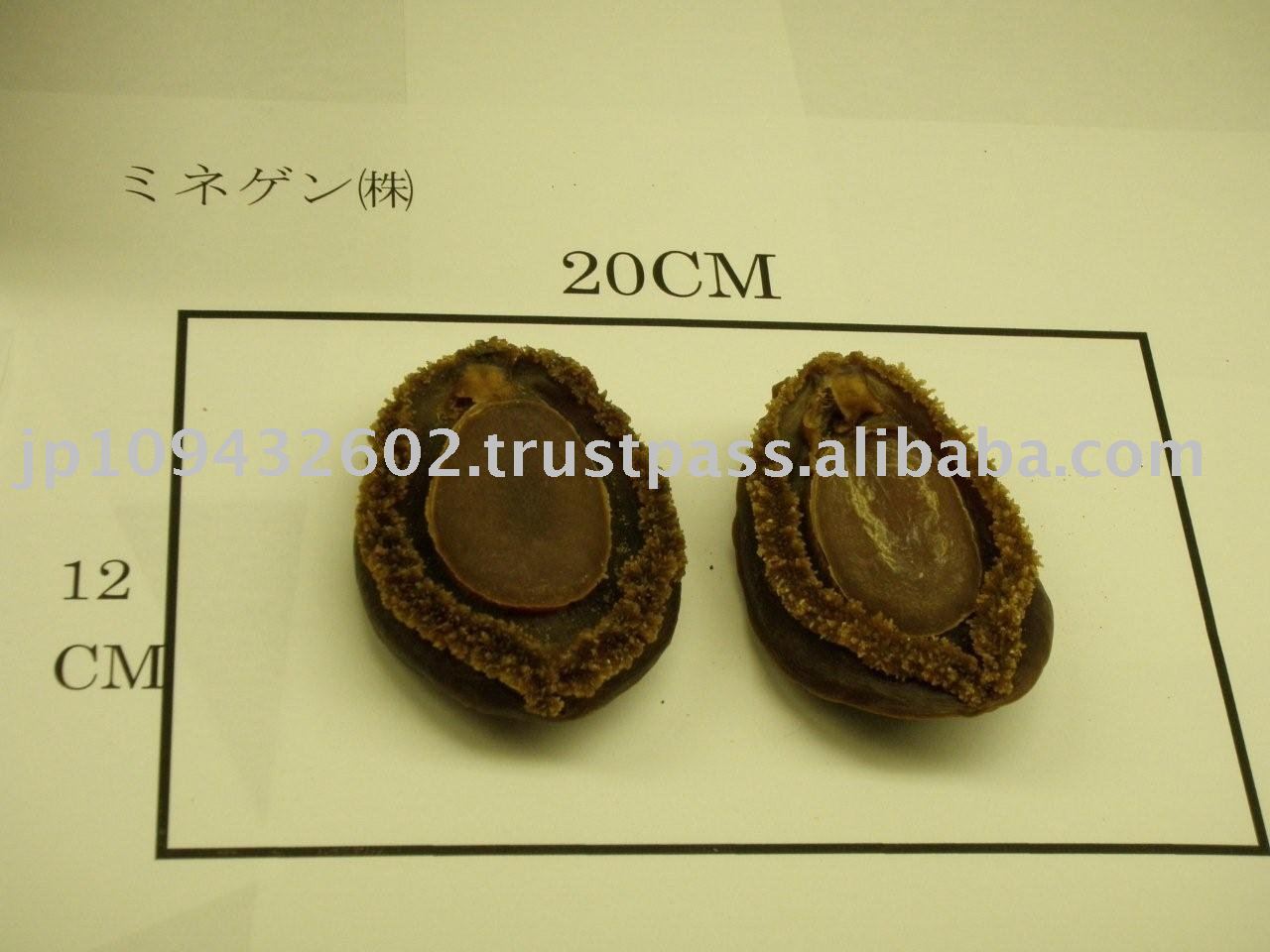 JAPAN KIPPIN  DRIED  ABALONE