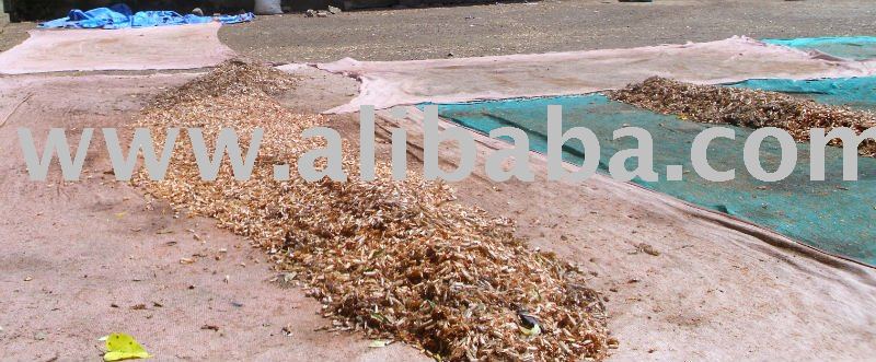 poultry feed
