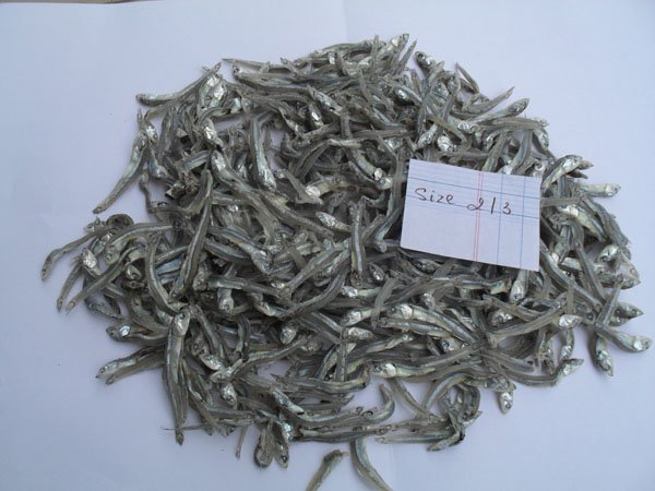 DRIED ANCHOVY HEAD ON