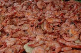 available quality shrimp shells for sale