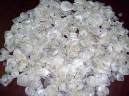 Fish scale and shrimp shell