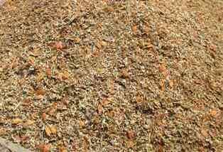 dried shrimps shell for sale