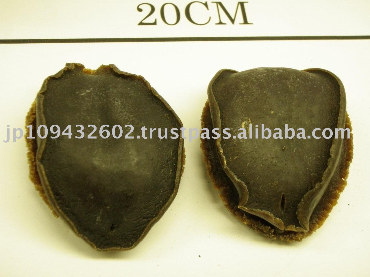 JAPAN MONPAO DRIED ABALONE