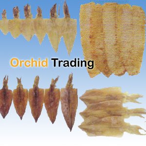 Dried Squid