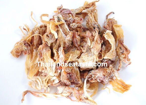 Tentacles of Squid