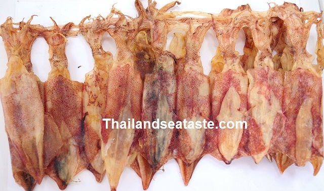 DRIED SPLENDID SQUID