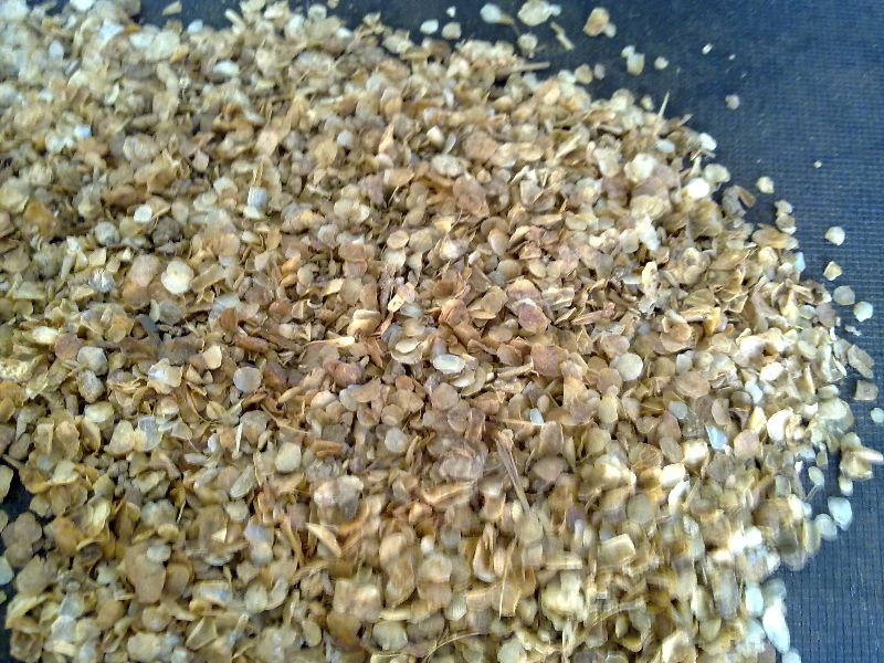 dried fish scale / shell