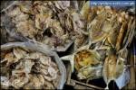 Dried fish from Palawan /  Philippines 