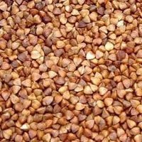 roasted buckwheat kernels