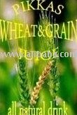 Wheat Grain