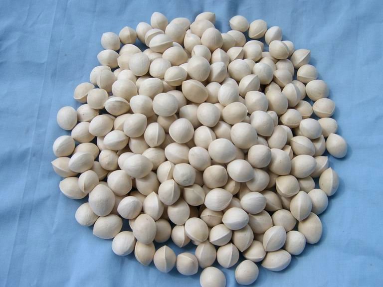 dry biloba ginkgo seed