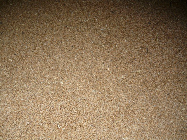 Milling wheat