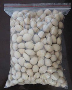  dry  seed ginkgo biloba