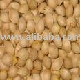 Ginkgo Nut