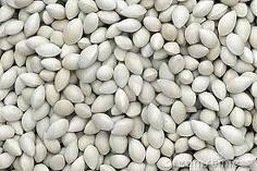 Ginkgo,Ginkgo seeds,Ginkgo nuts