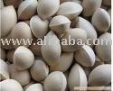 Ginkgo Nuts