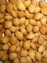 Ginkgo Nut