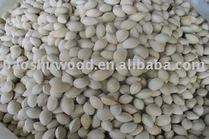 Supply PiZhou Fresh Gingko