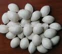 PiZhou High-Quality Fresh Gingko