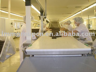 industrial  production   line  stainless steel  rubber  belt conveyor system