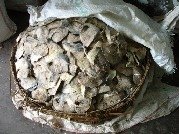 Dry Salted Hilsa