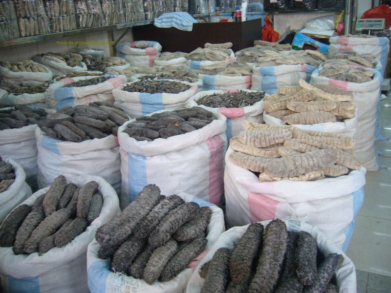 Sea cucumber, all types and crab shell , and shrimps shells,Cameroon ...