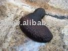 Frozen black cucumber