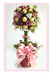 Chocolate Tree