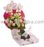 Baby Surprise in Pink chocolate