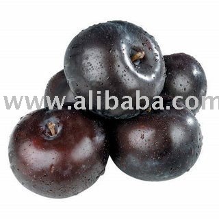 Organic Plum Juice Concentrate & Puree