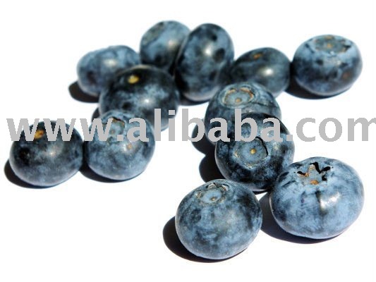 Organic Blueberry Juice Concentrate & Puree