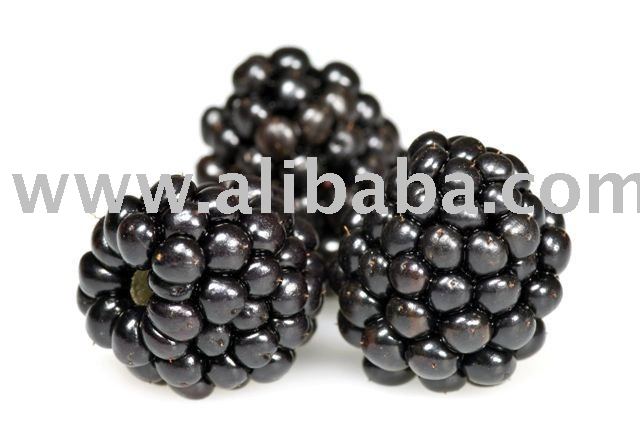 Organic Blackberry Juice Concentrate & Puree